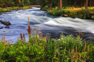 Deschutes River-1404